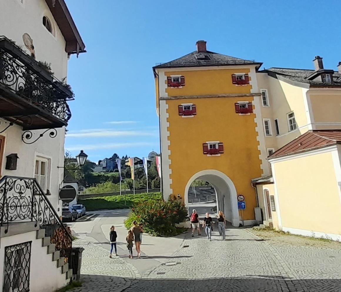 Villa Haus Maria Laufen Exterior foto