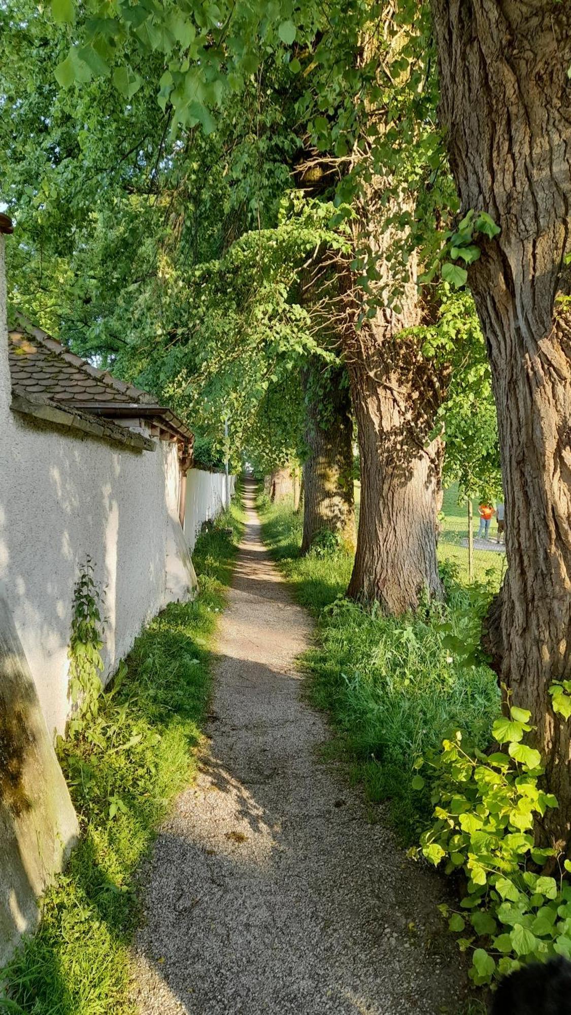 Villa Haus Maria Laufen Exterior foto